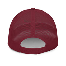 Load image into Gallery viewer, Chasin Kitty Bobber Snapback