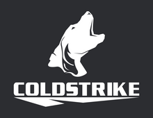 Load image into Gallery viewer, ColdStrike Decal
