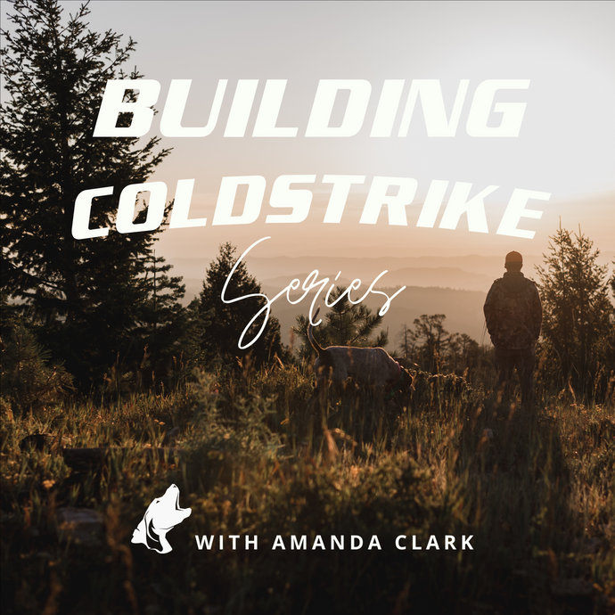 A Building ColdStrike Update-- SO CLOSE to Launch!!