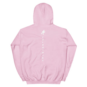 Chasin Kitty Bobber Hoodie