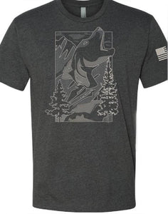 ColdStrike's charcoal mountain music tee for men