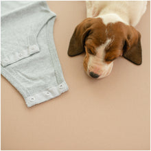 Load image into Gallery viewer, ColdStrike light grey colored onesie and dog
